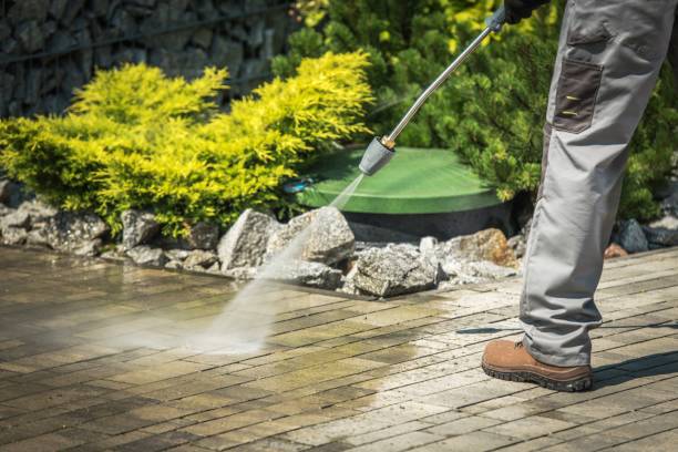 Best Sidewalk and Walkway Cleaning  in Level Park Oak Park, MI